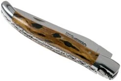 Laguiole En Aubrac 12cm Double Plates, Cactus Poncé Main, L0712CA51-FSI1 -Couteaux Soldes AUL0712CA51 FSI1 04 laguiole en aubrac v202010