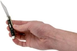 Case Peanut Rough Black Synthetic, 18225, 6220 SS Couteau De Poche -Couteaux Soldes CE18225 05 case