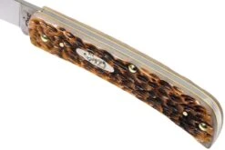 Case Sod Buster Jr Amber Jigged Bone, 00245, 6137 SS Couteau De Poche 16 Case Sod Buster Jr Amber Jigged Bone, 00245, 6137 SS Couteau De Poche -Couteaux Soldes CE245 06 case ce245 06