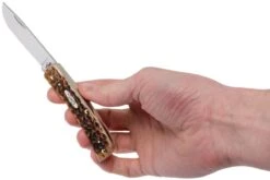 Case Sod Buster Jr Amber Jigged Bone, 00245, 6137 SS Couteau De Poche 19 Case Sod Buster Jr Amber Jigged Bone, 00245, 6137 SS Couteau De Poche -Couteaux Soldes CE245 09 case ce245 09