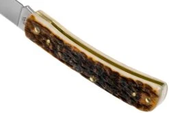 Case Sod Buster Jr Amber Jigged Bone, 30092, 6137 CV Couteau De Poche 13 Case Sod Buster Jr Amber Jigged Bone, 30092, 6137 CV Couteau De Poche -Couteaux Soldes CE30092 05 case