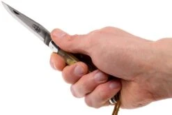 Forge De Laguiole 12110INCABDF, Corne D'Aubrac 15 Forge De Laguiole 12110INCABDF, Corne D'Aubrac -Couteaux Soldes LA12110INCABDF 07 forge de laguiole la12110incabdf 07