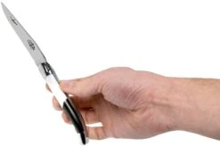 Forge De Laguiole Airbus A350 1211 INAIRBUS Couteau Laguiole 16 Forge De Laguiole Airbus A350 1211 INAIRBUS Couteau Laguiole -Couteaux Soldes LA1211INAIRBUS 07 forge de laguiole