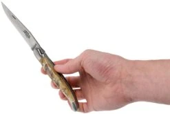 Forge De Laguiole 12 Cm 1212INBESAT Corne De Bélier, Couteau Laguiole -Couteaux Soldes LA1212INBESAT 08 forge de laguiole