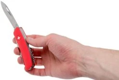 Swiza TT05 Tick Tool, Couteau Suisse Avec Outils Pour Tiques, Rouge -Couteaux Soldes SZTT05 RD 06 swiza